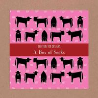 Angus Cattle On Pink Boxed Set (L)